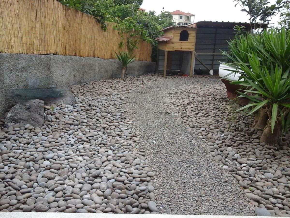 Cottage Quinze, Contemporary Designed Cottage With Swimming Pool Ponta Delgada  Buitenkant foto