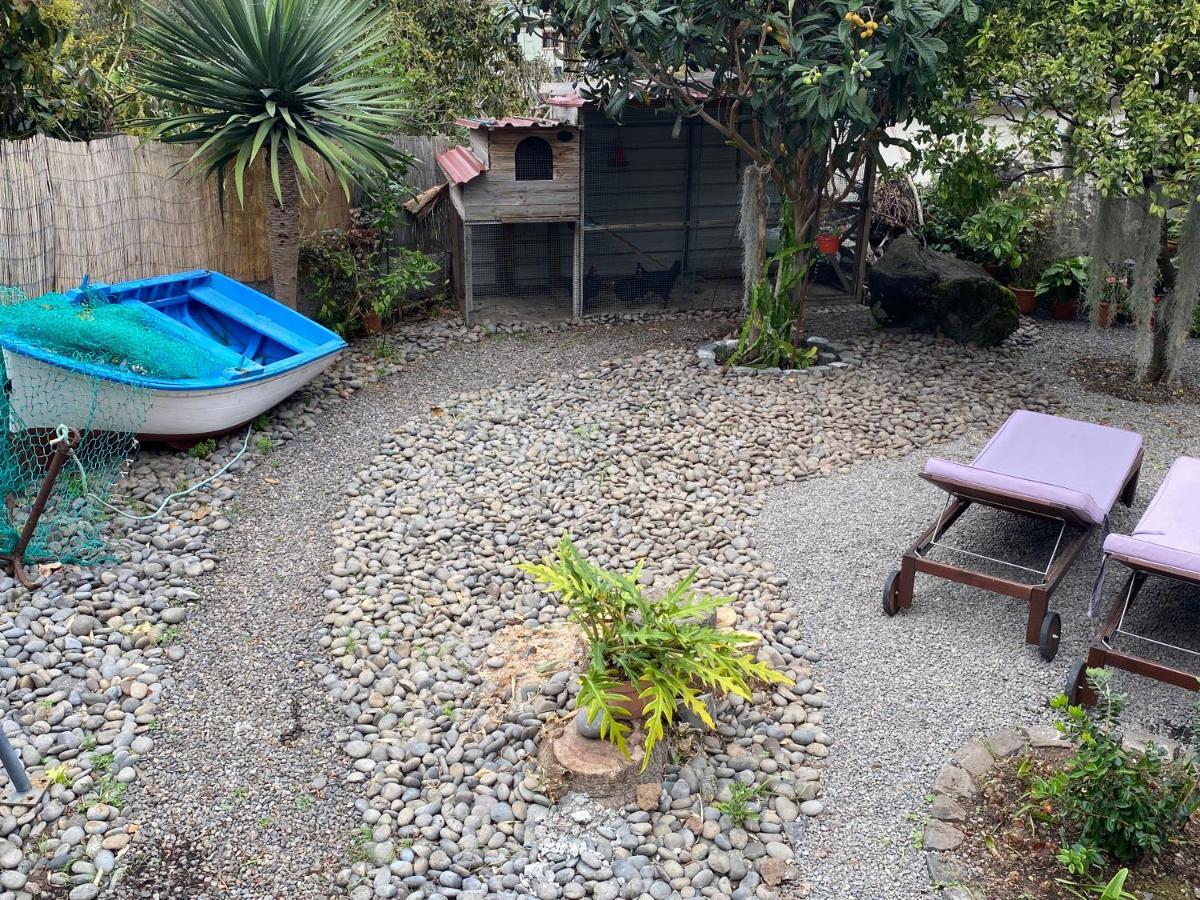 Cottage Quinze, Contemporary Designed Cottage With Swimming Pool Ponta Delgada  Buitenkant foto